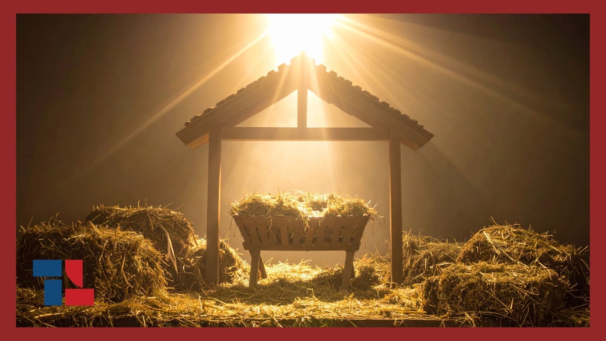 Article & Email Images (23)